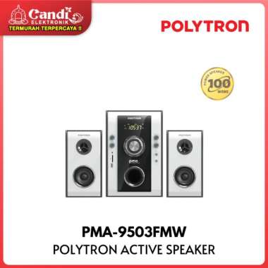 POLYTRON ACTIVE SPEAKER PMA 9503 /-FMW / PMA-9503FMW / PMA9503