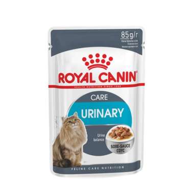 royal canin persian wet cat food