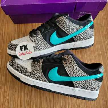 sb dunks elephant