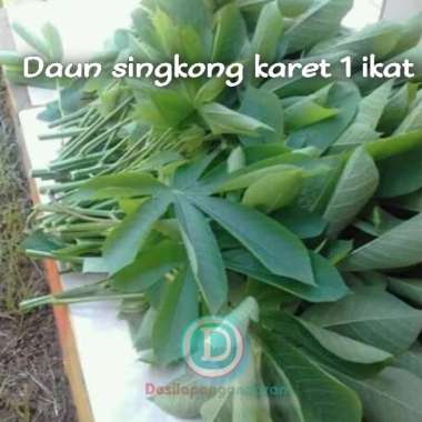 daun singkong karet segar 1 ikat