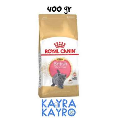 Royal Canin Kitten British Shorthair Cat 400 gr - Makanan Anak Kucing Britania