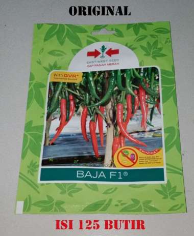 BENIH CABE BESAR MERAH BAJA F1 PANAH MERAH 125 btr.