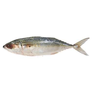 IKAN KEMBUNG BANJAR 1/2KG