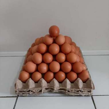 Telur Ayam Negeri 8 kg
