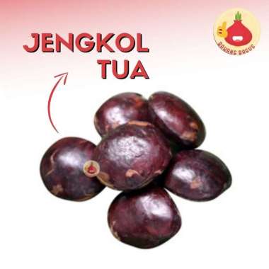 Jengkol Tua / Jengkol Mentah 250gr & 500gr / Sayur Segar - Bawangbagus 500gr