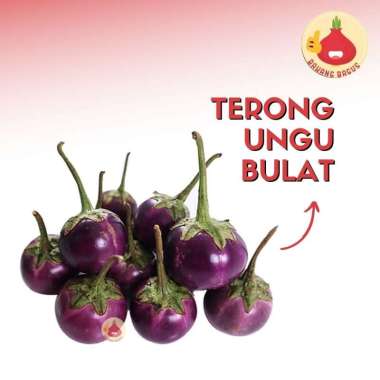 Terong Ungu Bulat 250gr / Terong Lalap / Terong Sayur - Bawangbagus