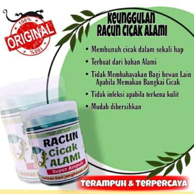 Racun Cicak Herbal Alami Super Ampuh Membasmi Cicak