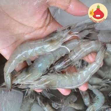 Udang Segar 1Kg / Ikan Segar - Bawangbagus 500gr