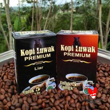 Jual Kopi Luwak Terlengkap Harga Terjangkau Blibli Com