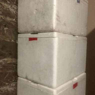 Styrofoam Box Bekas Kotak Sterofoam Tebal Besar Layak Pakai