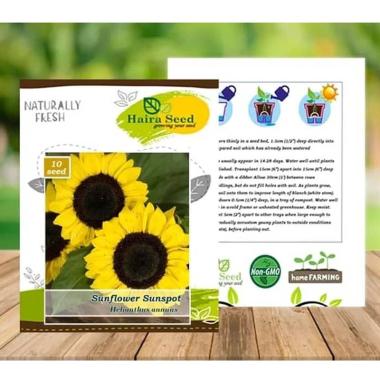 Jual Bibit Sunflower Online Baru Harga Termurah Juni 2020 Blibli Com