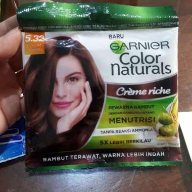 garnier pewarna rambut coklat karamel 5.32