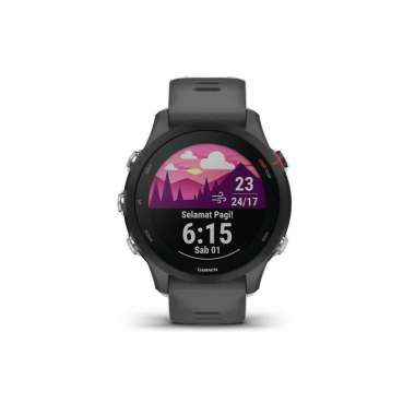 Garmin Forerunner 255 - Slate Gray