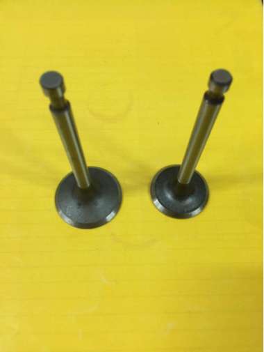 Klep Api Minyak Mesin Bensin GX390 dan GX 420