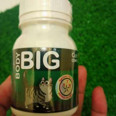 Body BIG cat - vitamin penggemuk kucing