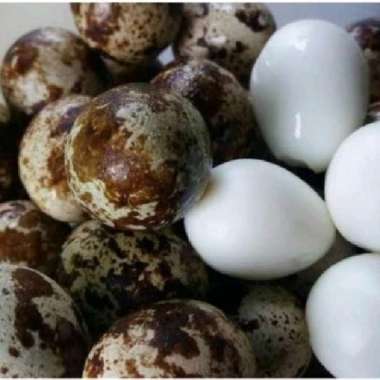 Telur puyuh Mateng 500 grm