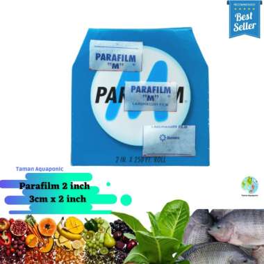 Parafilm Grafting Anggur Import untuk PEMULA 3cm x 2 inchi