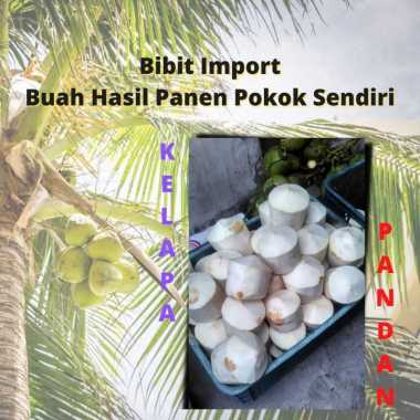 [PROMO]KELAPA MUDA THAILAND /KELAPA PANDAN THAI /KELAPA MUDA FRESH KUPAS THAILAND