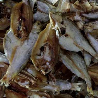IKAN ASIN BILIS 500gr 100% HALAL