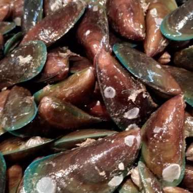 KERANG HIJAU SEGAR 500gr