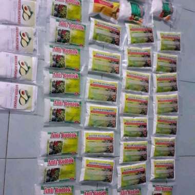 pupuk boster mangga cepat berbuah