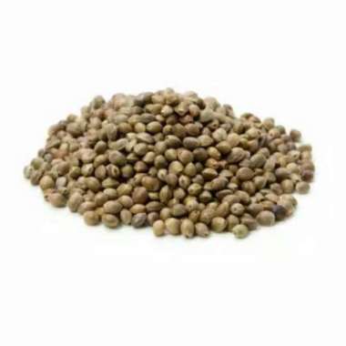 Biji Fumayin / hempseed dari Belgia