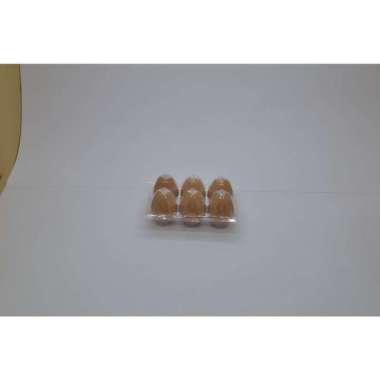 tray telur plastik 6
