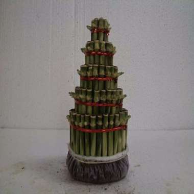 Tanaman Hias Bambu Hoki - Bambu Hoki Pagoda Pagoda 5 Susun