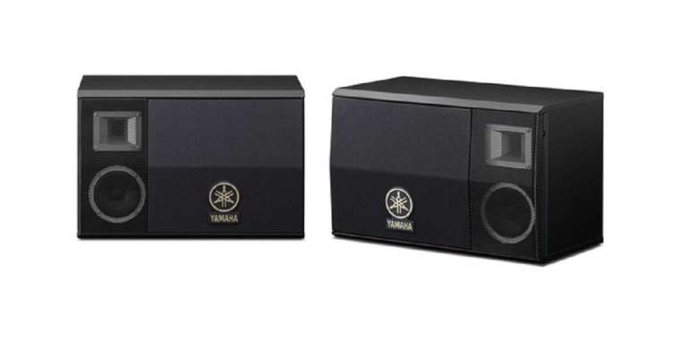 Yamaha KMS 2500 10" Karaoke Speaker