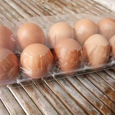 Telur Ayam Negeri isi 10