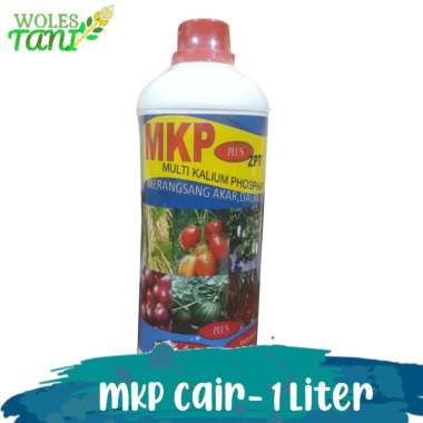 MKP Cair 1 Liter Multicolor
