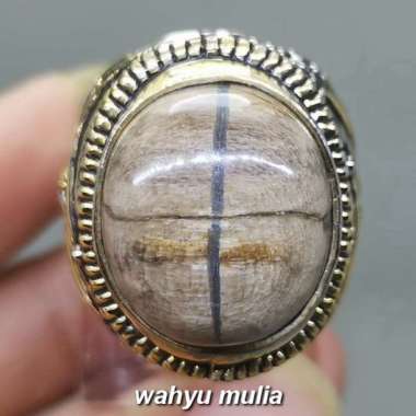 Cincin Batu Akik Tapak Jalak Fosil Asli (Kode 1867) Coklat