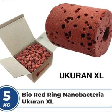 Bio Ring Ukuran XL Red Ring Media Filter Rumah Bakteri Berpori - 5 Kg Multicolor