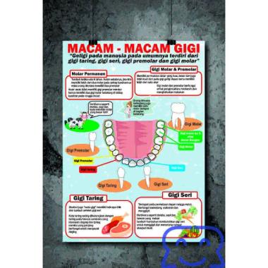 Jual Produk Kesehatan Gigi Dan Mulut Murah Gratis Ongkir Blibli Com