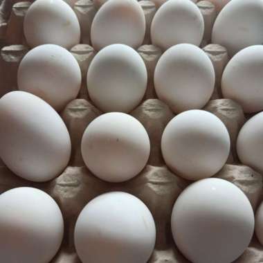 Telur Bebek 1 Butir