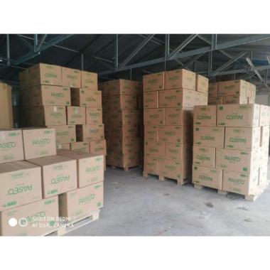Tissue Paseo 1 dus - tisu paseo 1 dus isi 48 pcs
