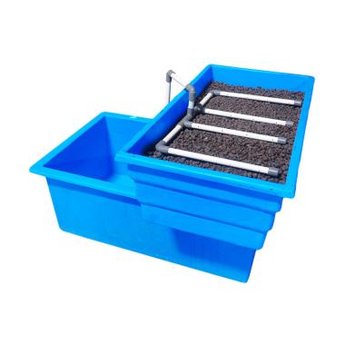 Jirifarm Paket Starterkit Aquaponik ... asuk Bibit Ikan dan Sayur