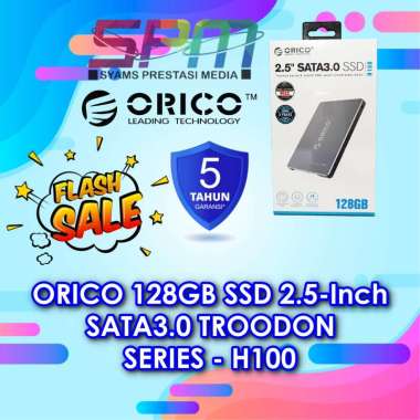 ORICO 128GB SSD 2.5-Inch SATA3.0 TROODON SERIES - H100