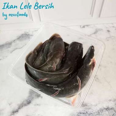 Ikan Lele Segar 1kg