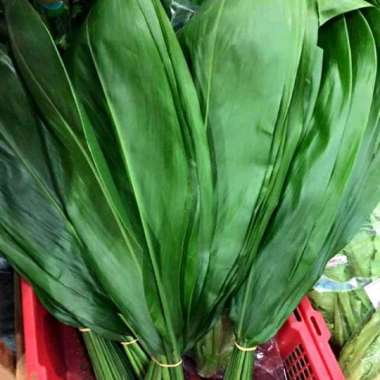 supernova mart daun hanjuang/daun bungkus bacang