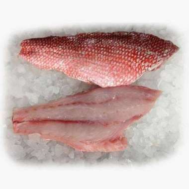 Kerapu merah fillet