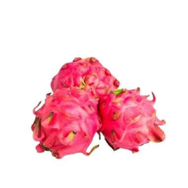 DRAGON FRUIT RED PREMIUM