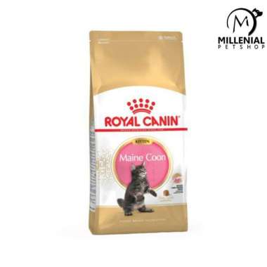 Makanan kucing royal canin kitten mainecoon 400 gr / maine coon