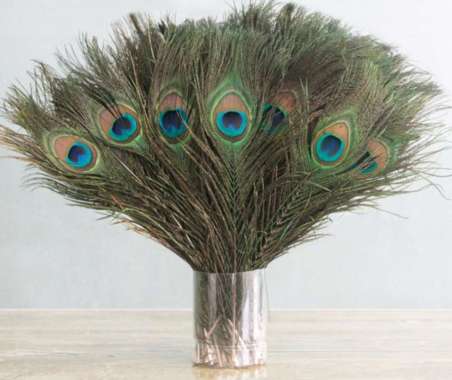 Triple W Dummy Fake Peacock Feather Bulu Burung Merak Dekorasi Foto