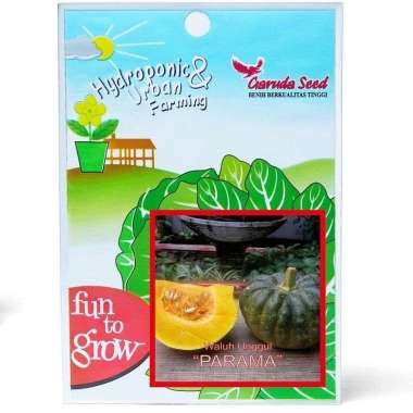 Benih waluh unggul PARAMA 8 butir labu urban farming garuda seed