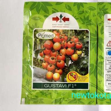 benih tomat GUSTAVI F1 1750 butir tomat hibrida dari panah merah