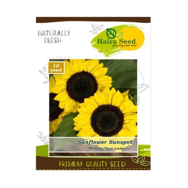 Haira Seed Bunga Matahari Sunspot Bibit Tanaman