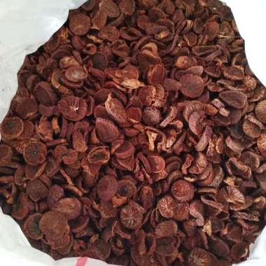 Buah Pinang Muda Kering 1Kg Premium