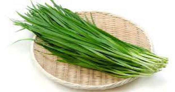 Daun Kucai Organik - 200gr