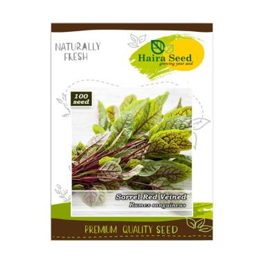 Jual Haira Seed Selada Crop Webbs Wonderful Benih Tanaman Online September 2020 Blibli Com